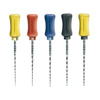 Protaper Hand.Finishing4 31mm steril 6St