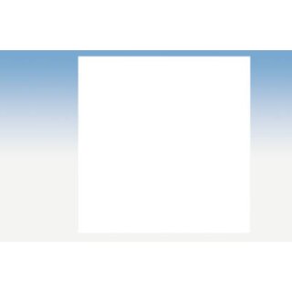 Ingo-Man Leerflasche f. Wandsp.500ml St