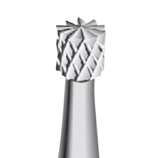 HM Finierer Hst TC30X.014 5St