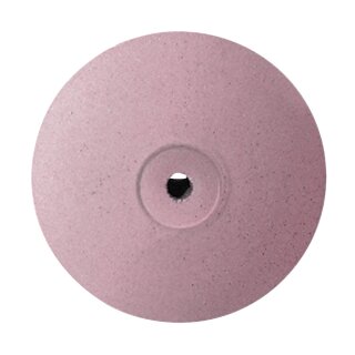 EVE Ecoceram Polierer LS22NK unm.  100St