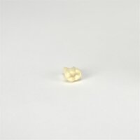 Modellzahn 75 z. Stecken St