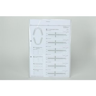 Einlegeblatt Mundhygiene-Status  Bl