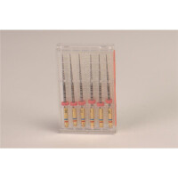 K3 NiTi-Files .06 Gr.30 30mm 6St