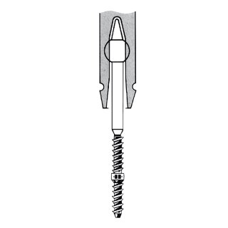 TMS Link plus regular 24St