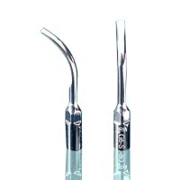 Woodpecker Tip G6 Scaler EMS St