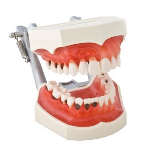 Paro-Modell P2D-001 St