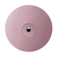 EVE Ecoceram Polierer LS22NK unm.  10St