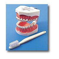 Demonstrationsmod. P3B-706 OK/UK St