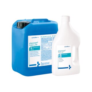Gigasept Instru AF 2L Fl