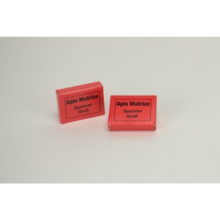 Apis-Matrizenspanner groß  St