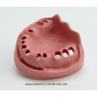 Gingiva Modell OK TZ 12N St