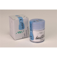 Initial MC Enamel E-60 20g