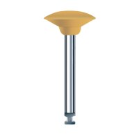 Ceragloss Pol. Wst gelb 30036 6St