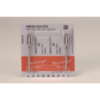 HM Fräse 251 GX 070 Hst 2ST