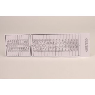 Zahnschema  f. A4 + A5 SK 25St