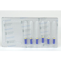 Senseus Flexofeilen 060  21mm 6St