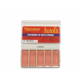 Guttaperchasp. Autofit Ft F 100St