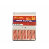 Guttaperchasp. Autofit Ft F 100St