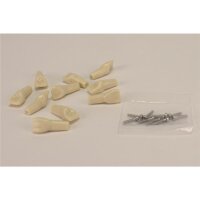 Modellzahn verschr. ANA-4 11 10St