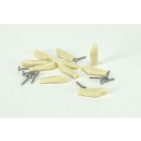 Modellzahn verschr. ANA-4 41 10St