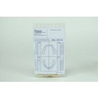 Modellzahn verschr. ANA-4 47 10St