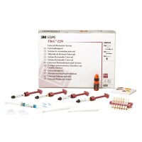 Filtek Z250 Universal Spritzen Intro-Kit