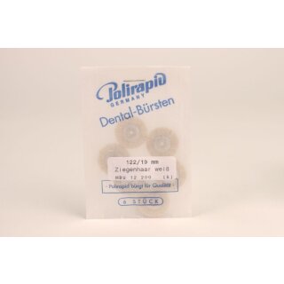 ZR Bürste unm. Ziege weiß Ø19mm 6St