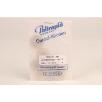 ZR Bürste unm. Ziege weiß Ø21mm 6St