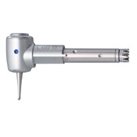 INTRA Kopf L66 B 3:1 Restaur./Endo St