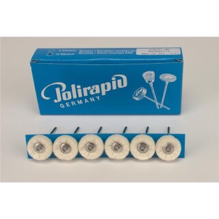 ZR Bürste Hst Baumwolle Ø21mm 12St