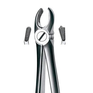 Zahnzange E17 OK Molaren rechts St