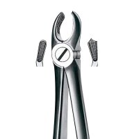 Zahnzange E17 OK Molaren rechts St