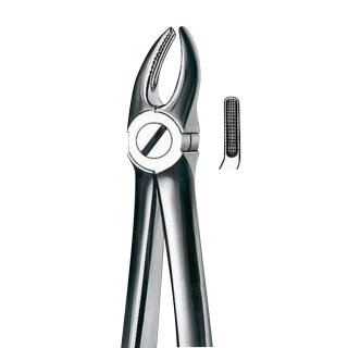 Zahnzange M2007 OK Prämolar  n. Bücks St