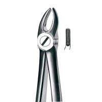 Zahnzange M2007 OK Prämolar  n. Bücks St