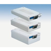 Dental Container 312x190x46mm St