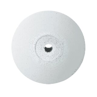 EVE Polierer L18 unm 100St