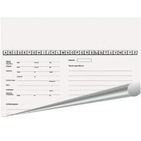 Karteitasche OPG 601 100St