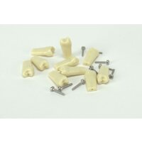 Modellzahn verschr. OK-14 gnath.10St