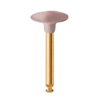 EVE Diacomp Plus DCP2m Wst  St