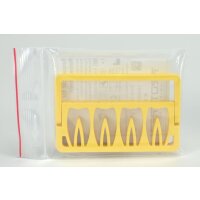 Protaper Univ. Sequencer gelb St