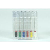 Nervkanalbohrer 231/ 45-80 6St