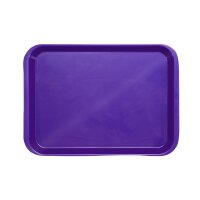 Behandlungstray o. Eint. neon lila St