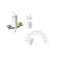 Dehnschraube Vector 160 medium 50St