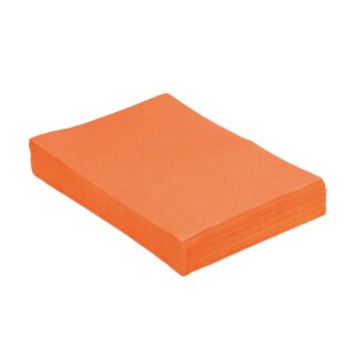 Traypapier orange 18x28cm  250St