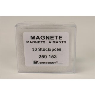 Erkosplit Magnete groß 30St