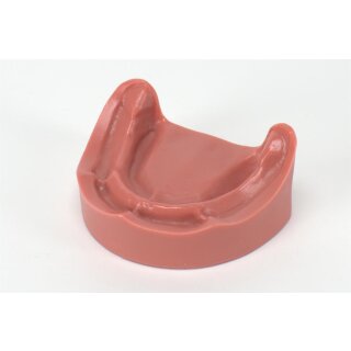 Zahnmodell Epoxi UK zahnlos  St
