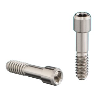 Abutment Screw S SO 4.8 / 6.5  2St