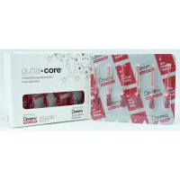 Guttacore Obturator 025P 5x6St Efpa