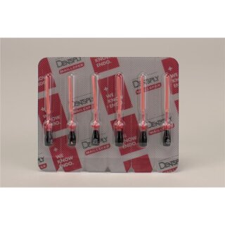 Guttacore Obturator 040P 5x6St Efpa