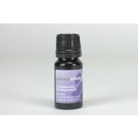 Primostick Bonder 10ml